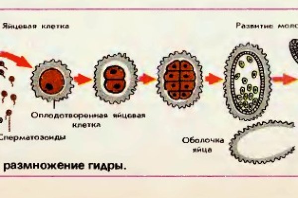 Магазин кракен как попасть