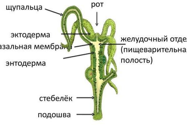 Официальный сайт даркнет