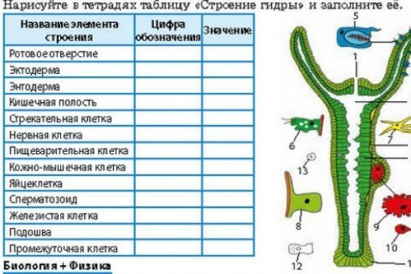 Кракен аватарка маркетплейс