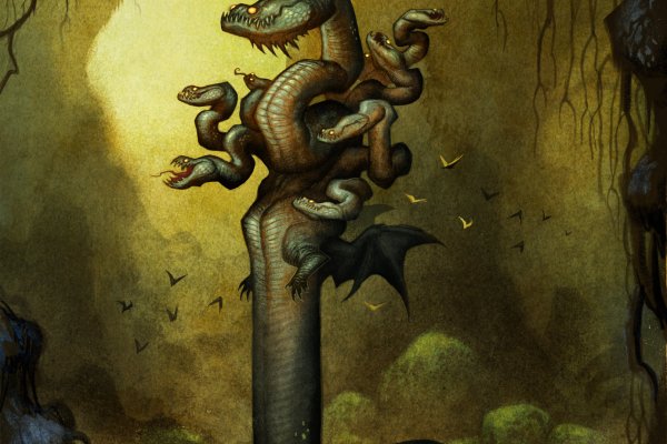 Kraken 24 at