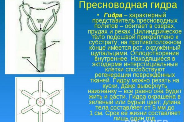 Проверенная ссылка кракен